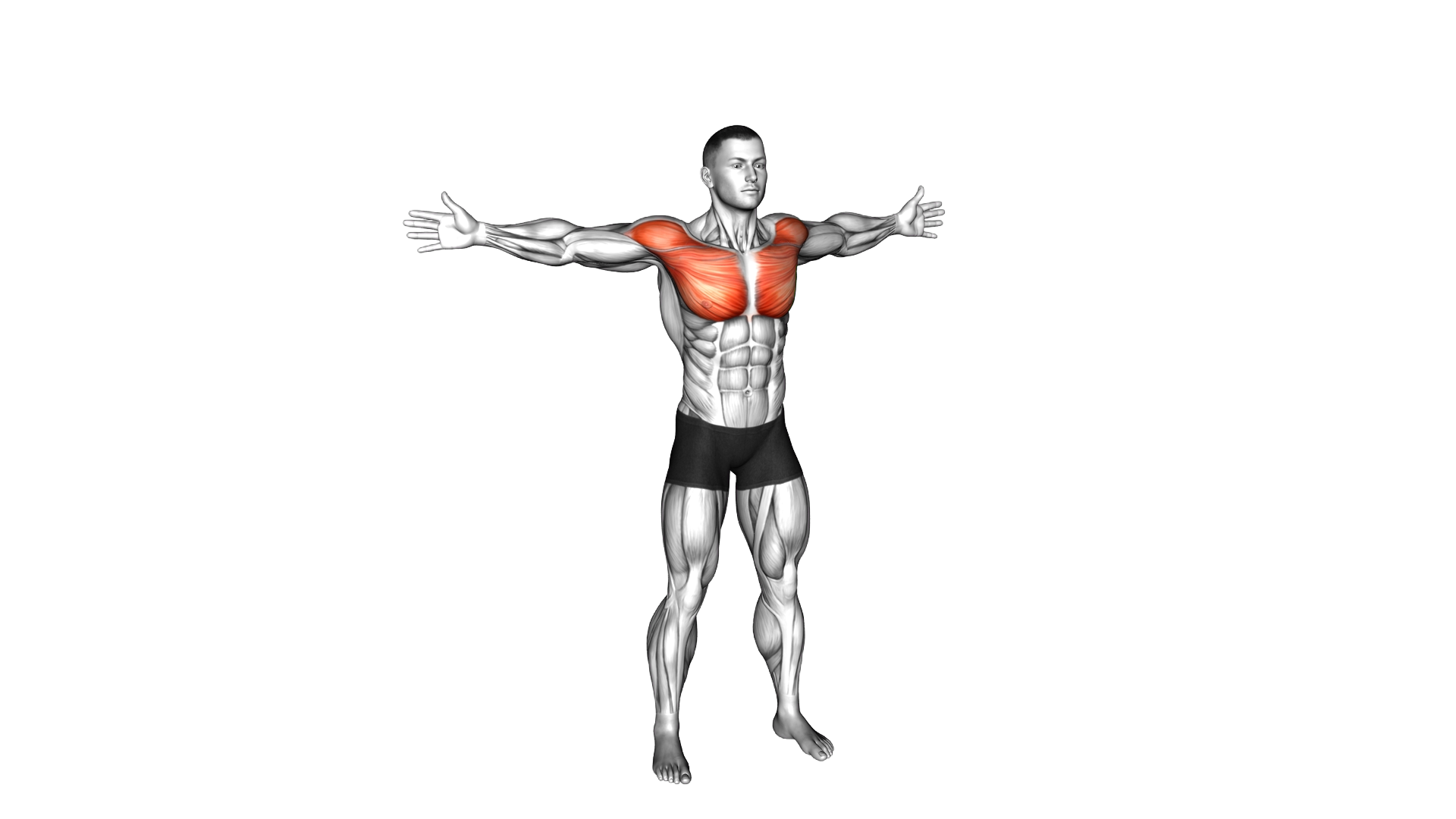 Bodyweight Standing Straight Arm Chest High Fly (m exercise demonstration