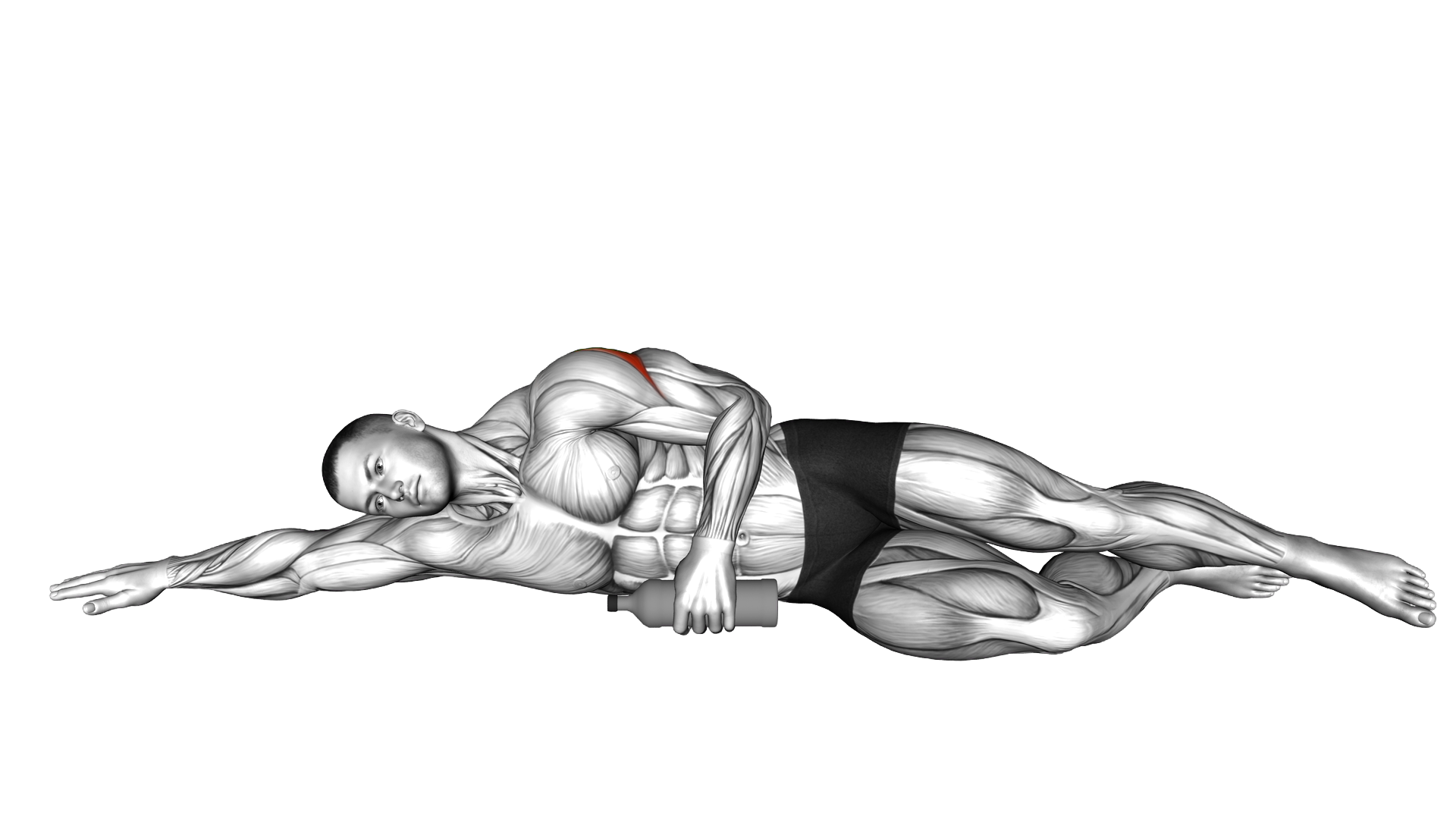 Weighted Bottle Side Lying Shoulder External Rotat exercise demonstration