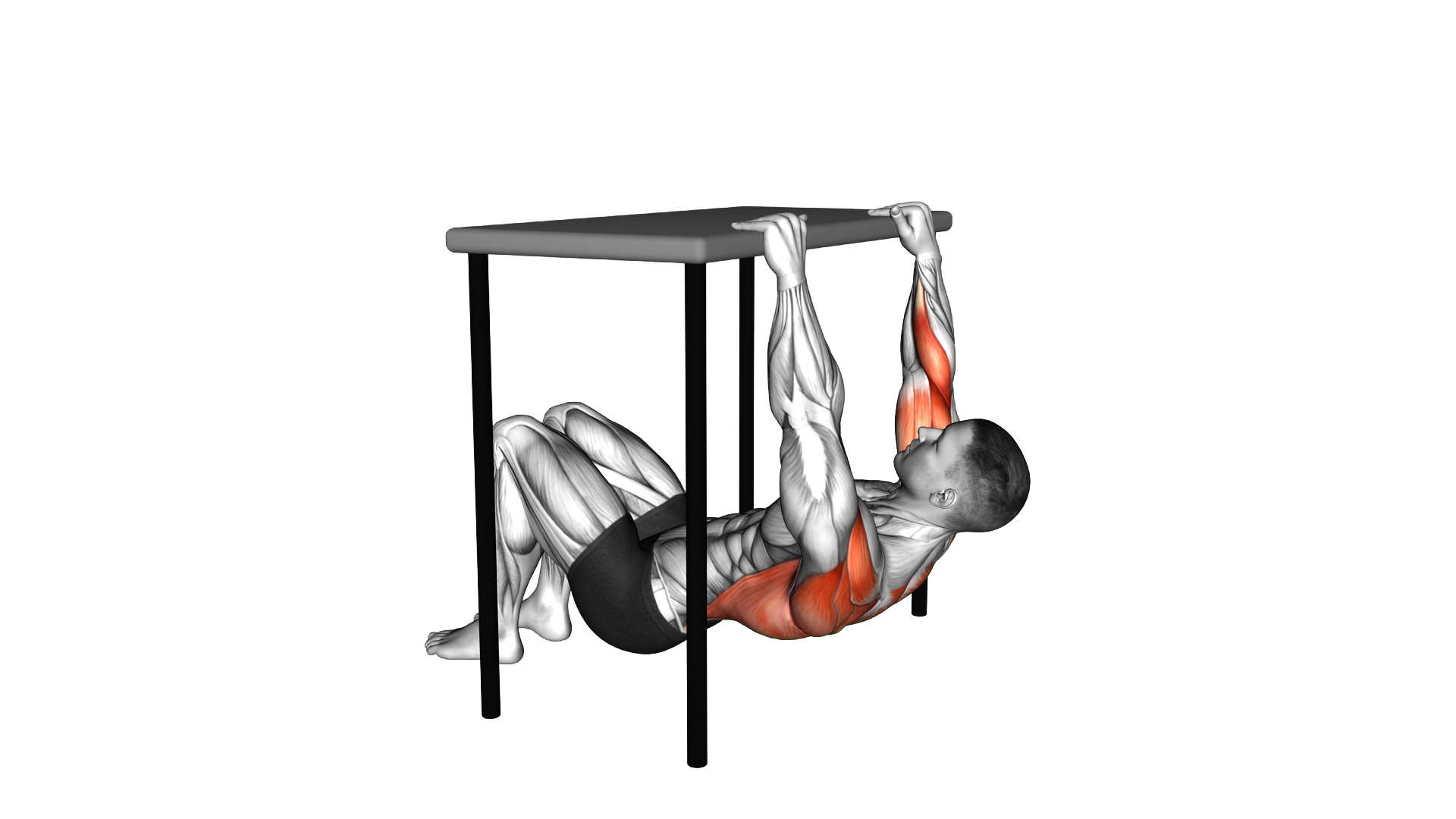 Inverted Row under Table exercise demonstration