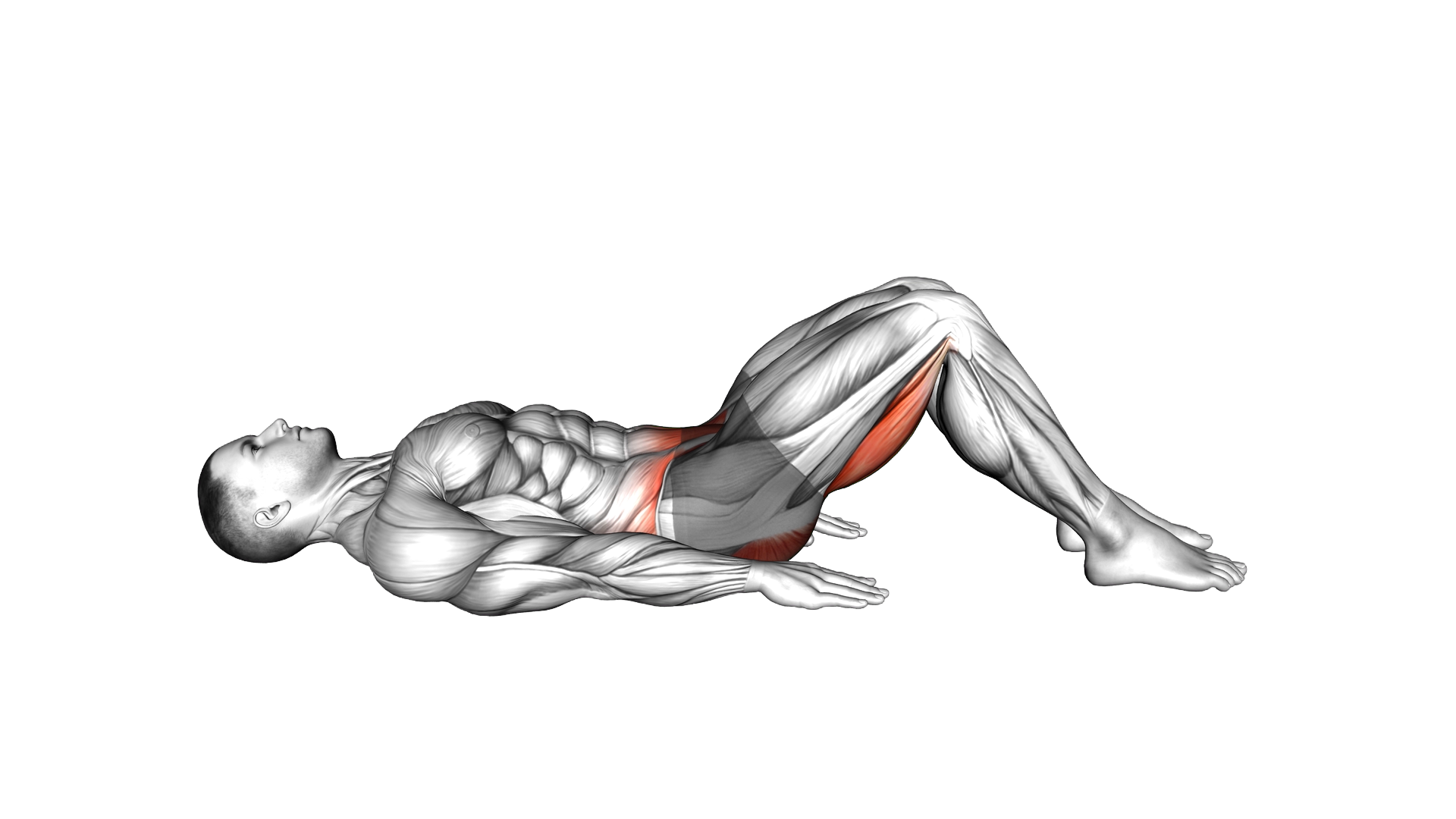 Hamstring Bridge exercise demonstration