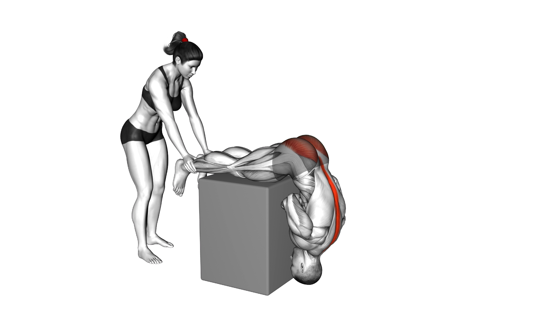 Assisted Hyperextension exercise demonstration