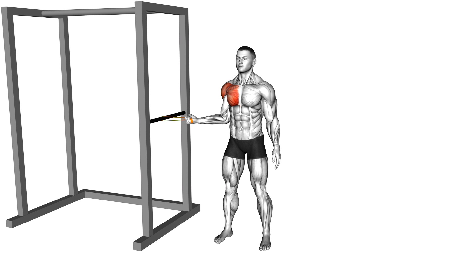 Resistance Band Standing Shoulder Internal Rotatio exercise demonstration