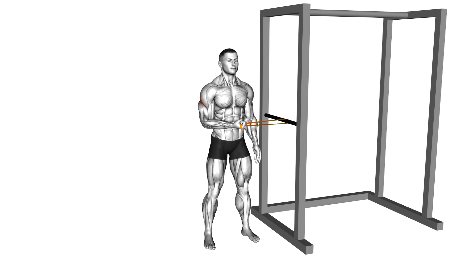 Resistance Band Standing Shoulder Extrernal Rotati exercise demonstration