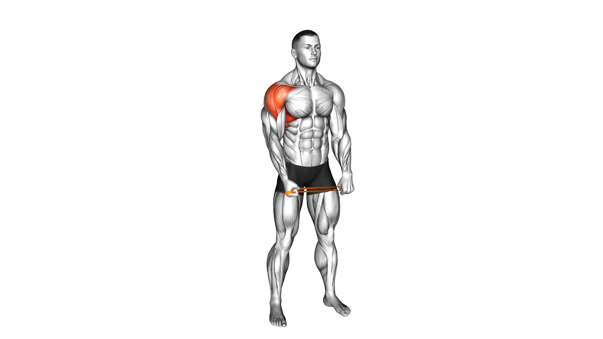 Resistance Band Standing Single Arm Lateral Raise exercise demonstration