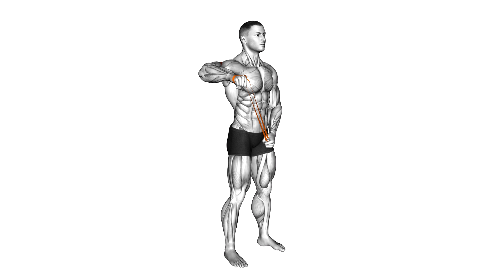 Resistance Band Standing 90 degrees Shoulder Extre exercise demonstration