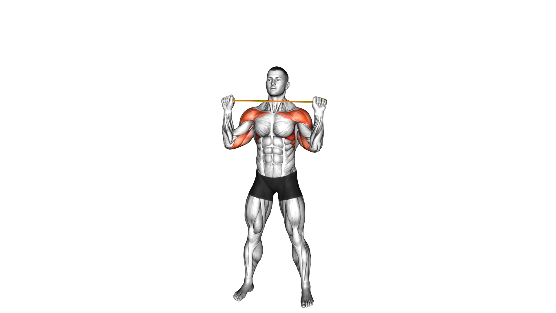 Resistance Band Overhead Shoulder Press ( exercise demonstration