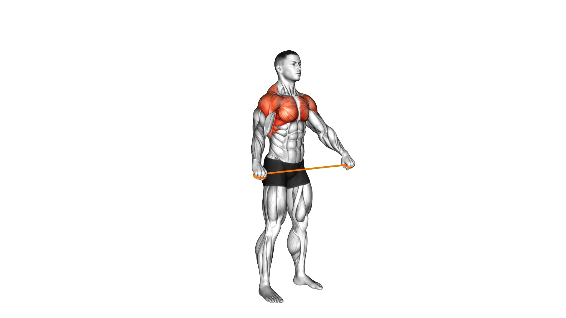 Resistance Band Pass Through exercise demonstration