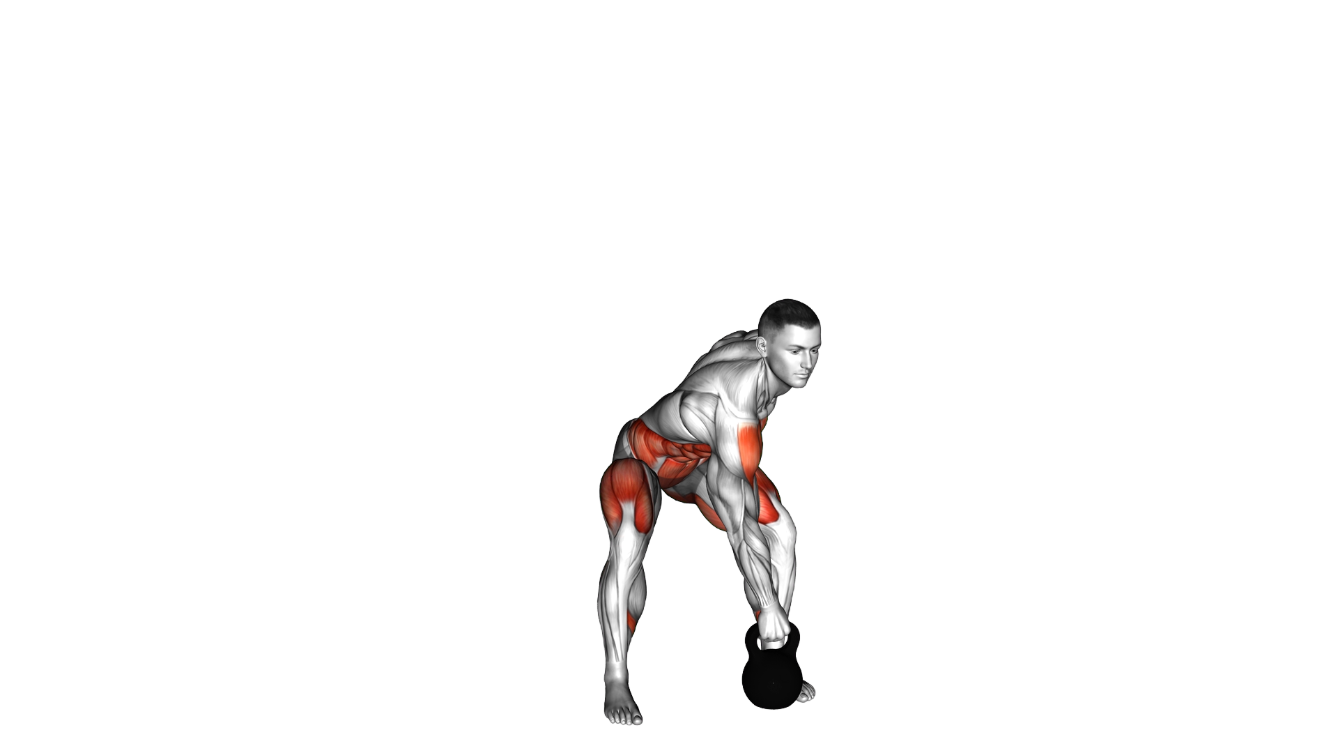 Kettlebell Side Swing exercise demonstration