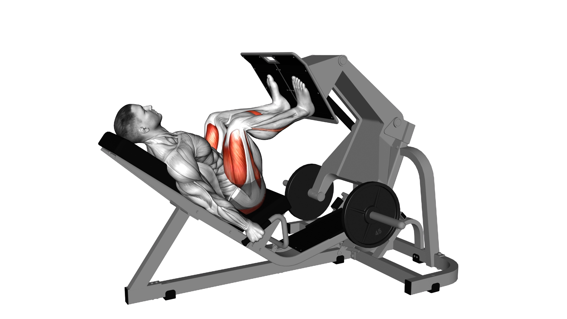 Lever Angled Leg Press exercise demonstration