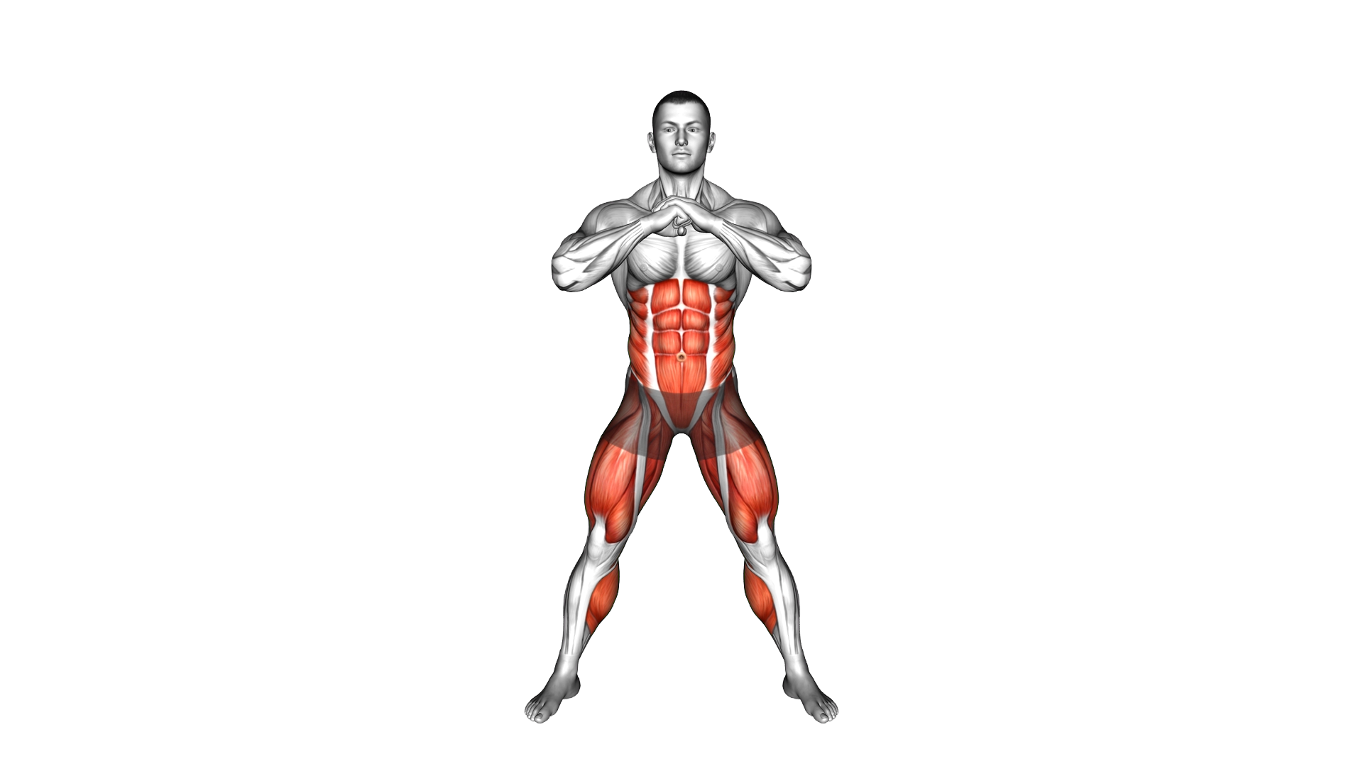 Standing Russian Twist exercise demonstration