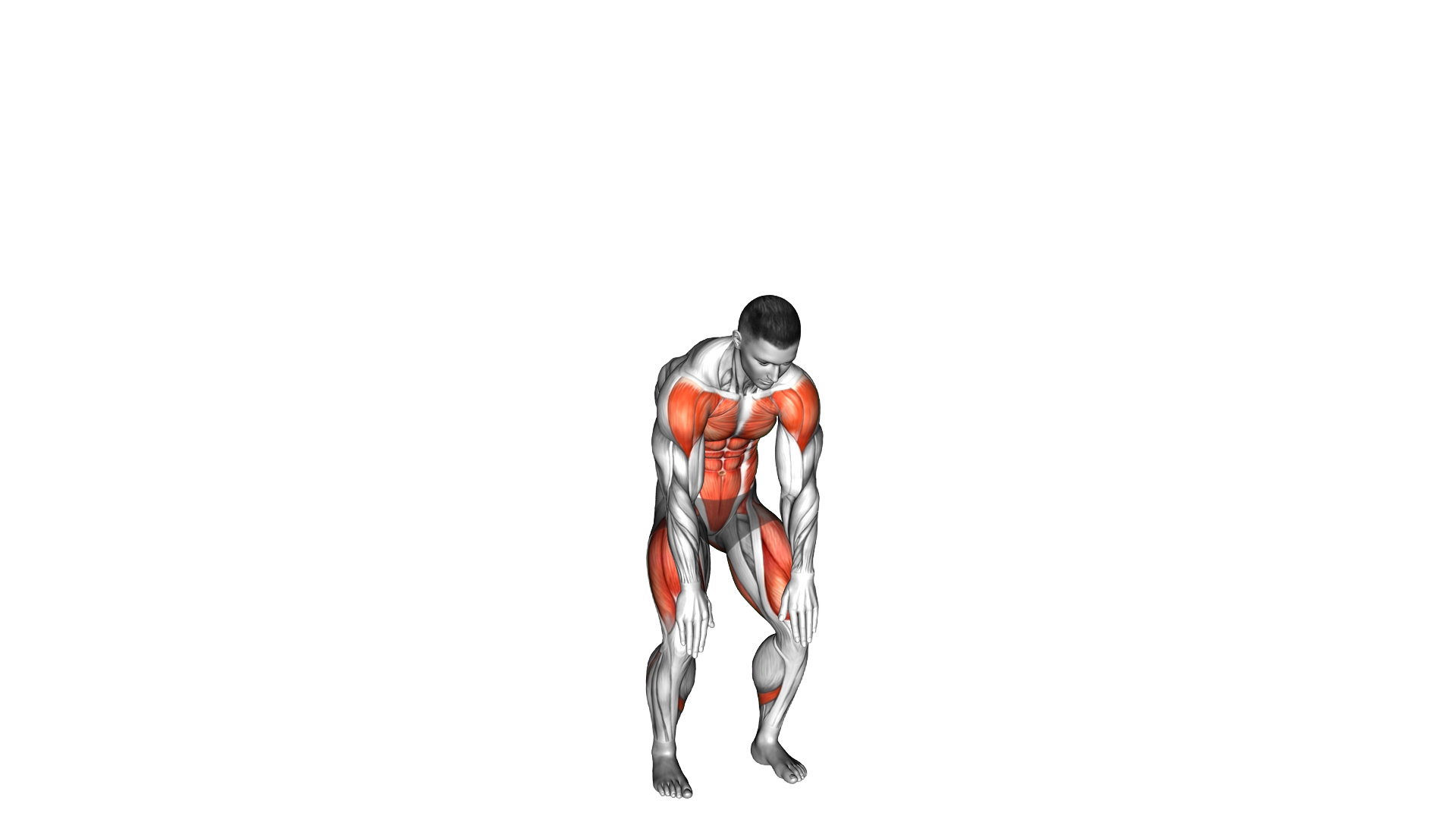 Knee Tap Sky Reach exercise demonstration