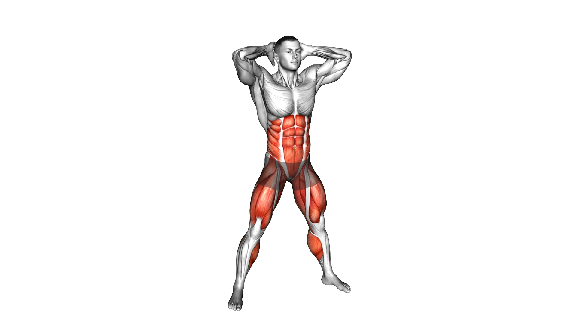 Standing Air Bike Foot Tap exercise demonstration