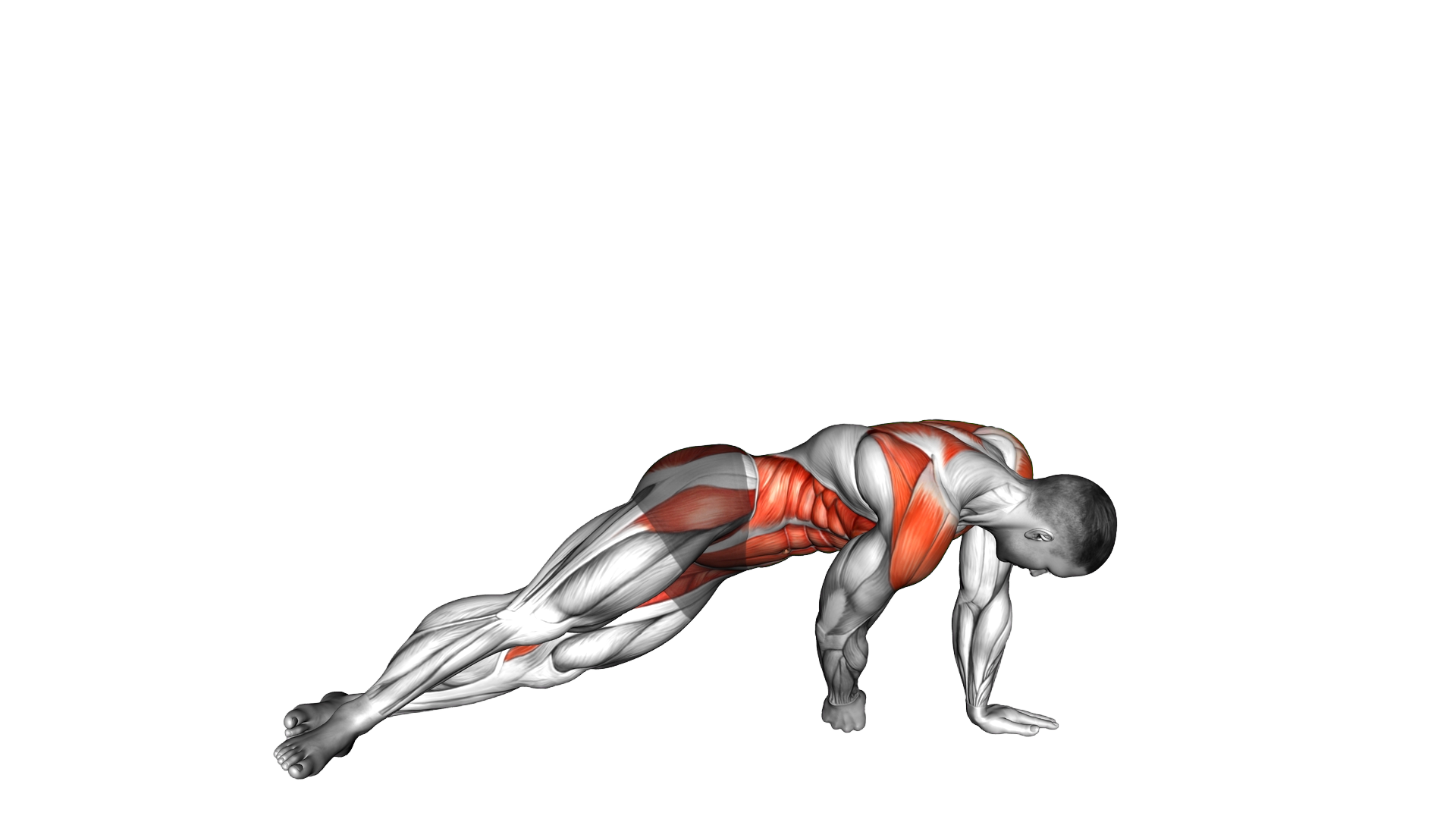 Side Floor Tap Plank exercise demonstration