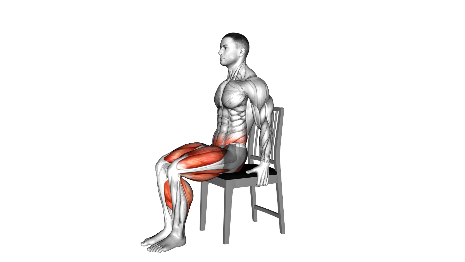 Seated Marching on a Chair exercise demonstration