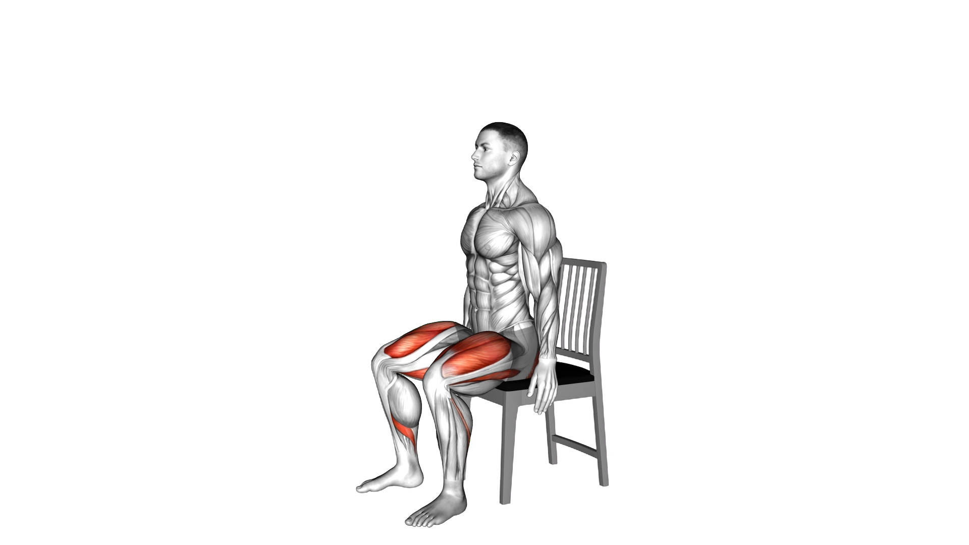 Sit to Stand on a Chair exercise demonstration