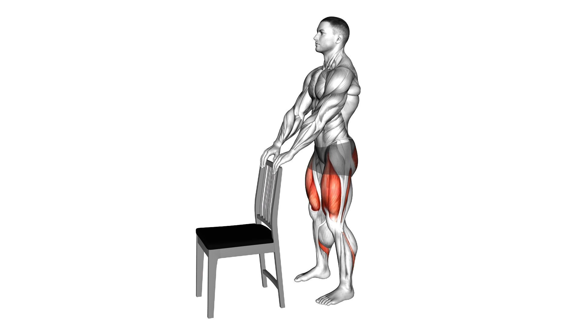 Mini Squat with a Chair exercise demonstration