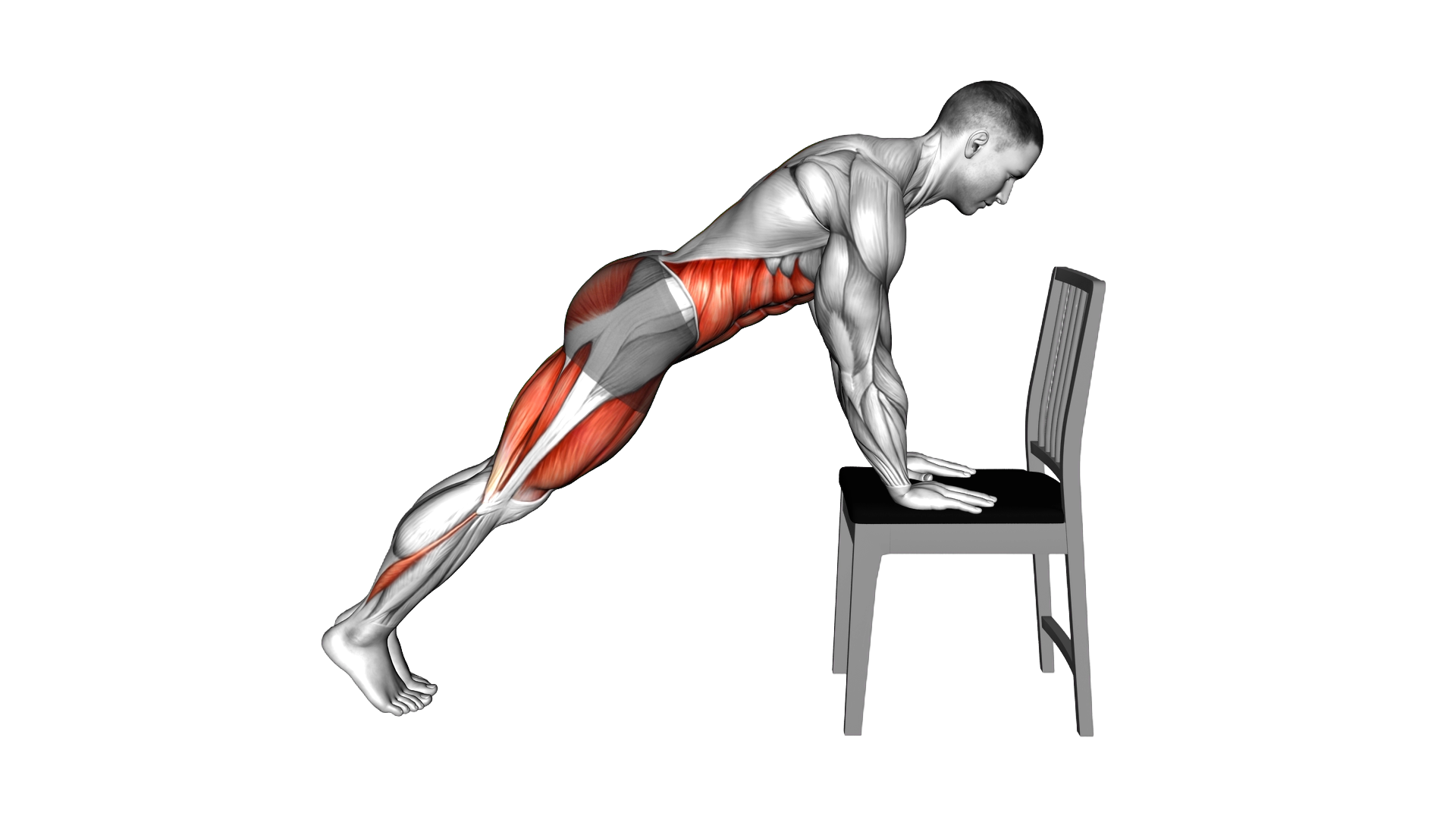 Elevated Mountain Climber with Hands on a Chair (m exercise demonstration
