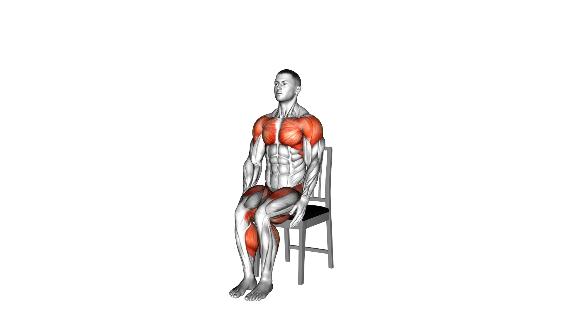 Seated Jack on a Chair exercise demonstration