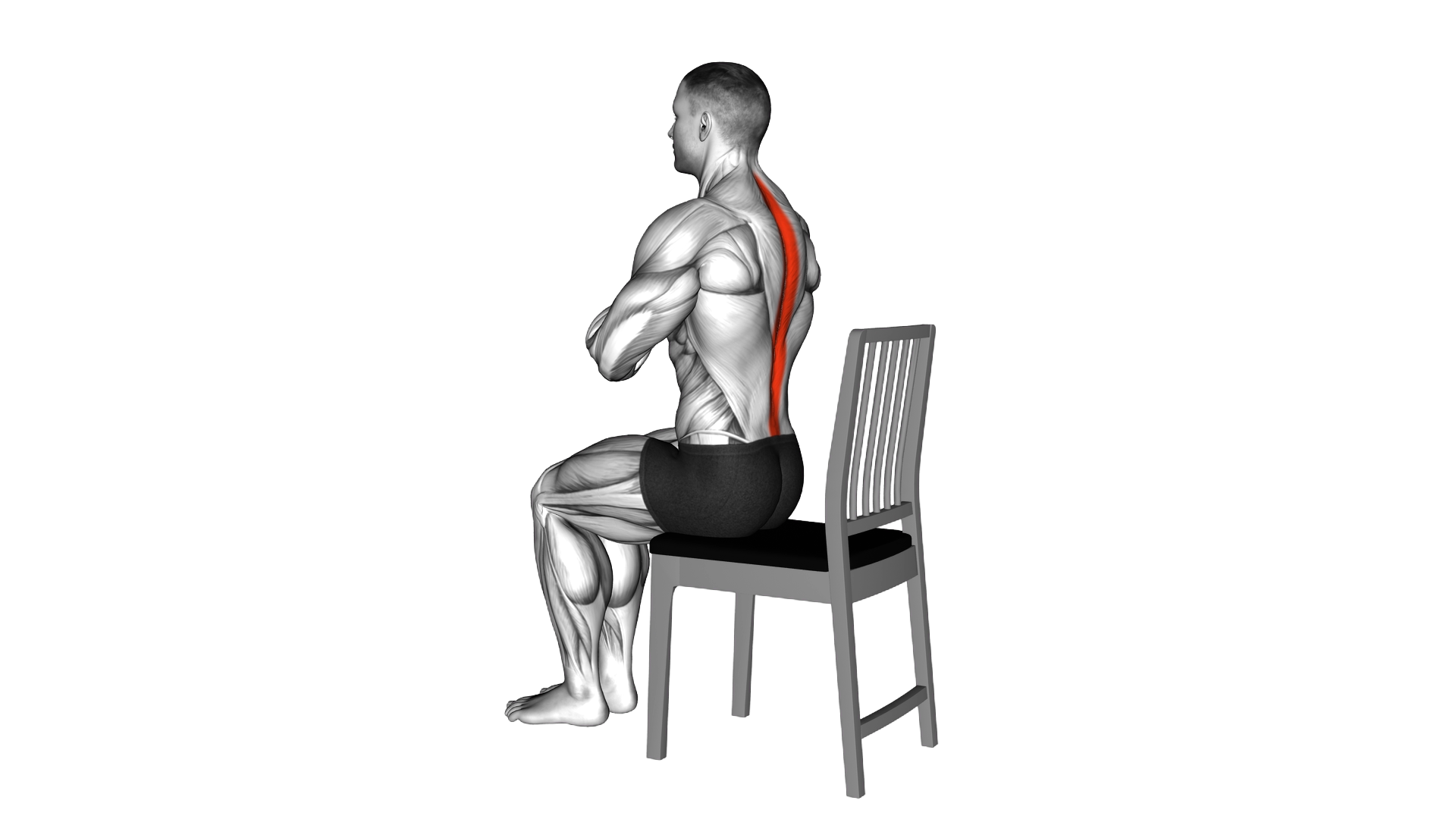 Seated Lean Back on a Chair exercise demonstration