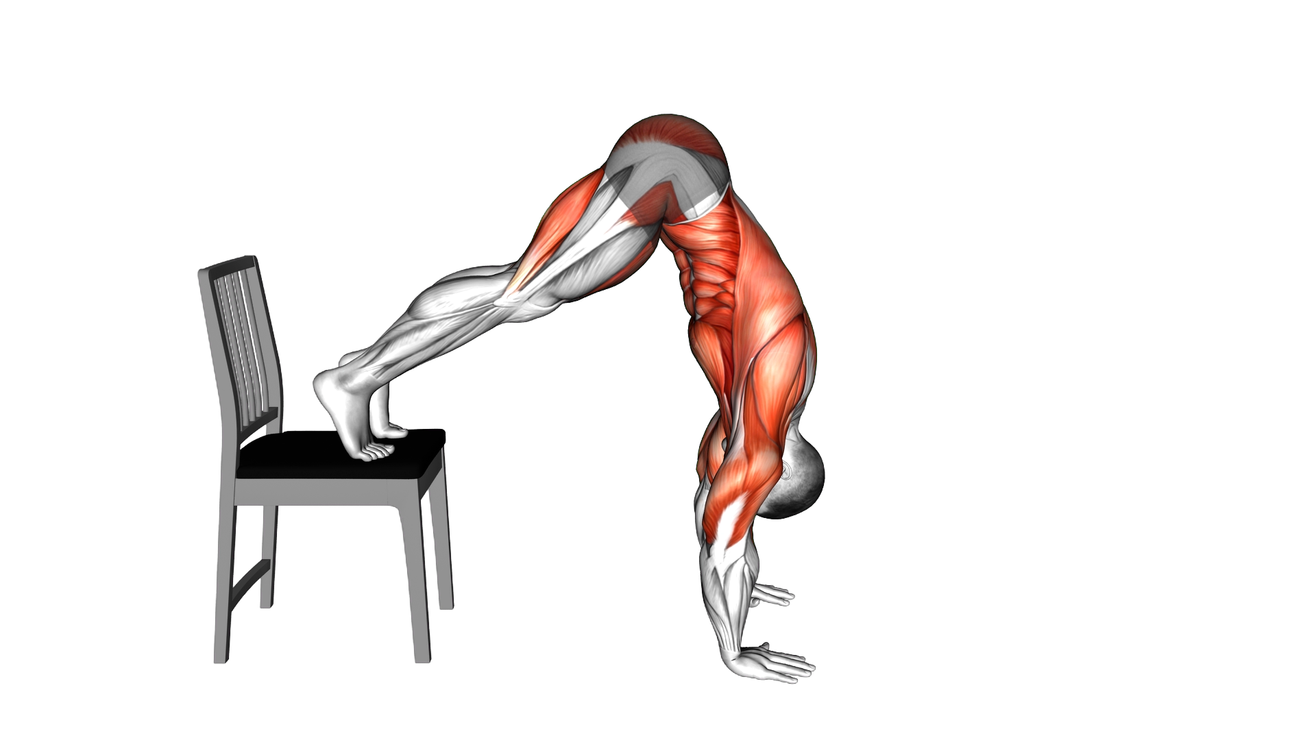 Elevated Plank Walkout with a Chair exercise demonstration