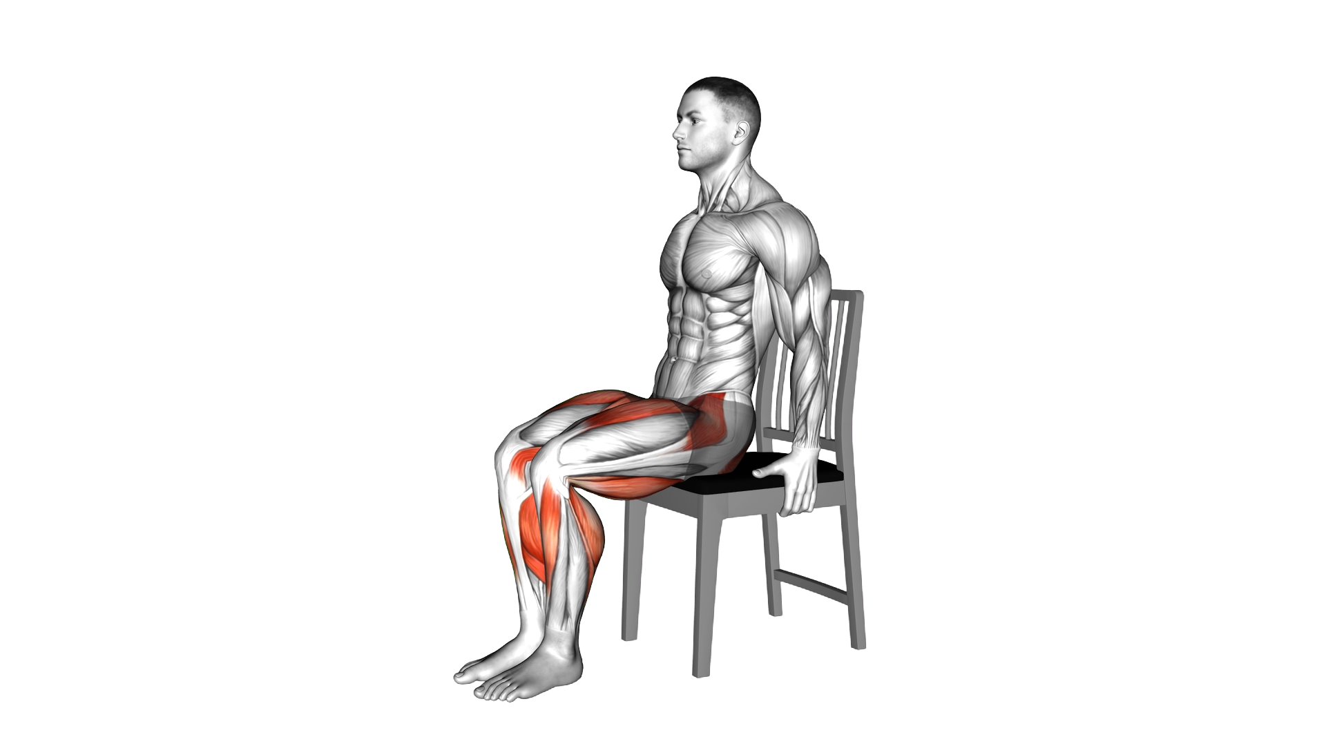 Seated Heel Slide on a Chair exercise demonstration