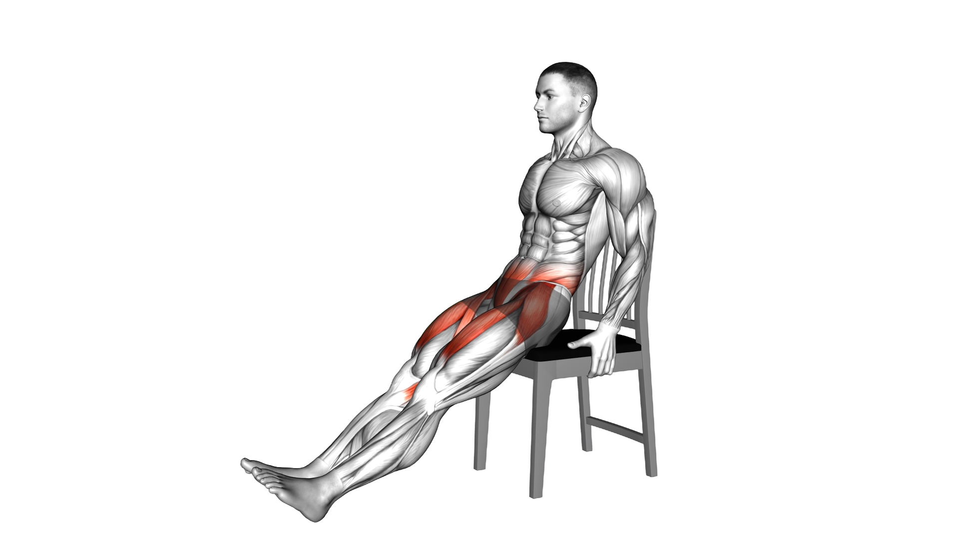 Seated Extended Leg Raise on a Chair exercise demonstration