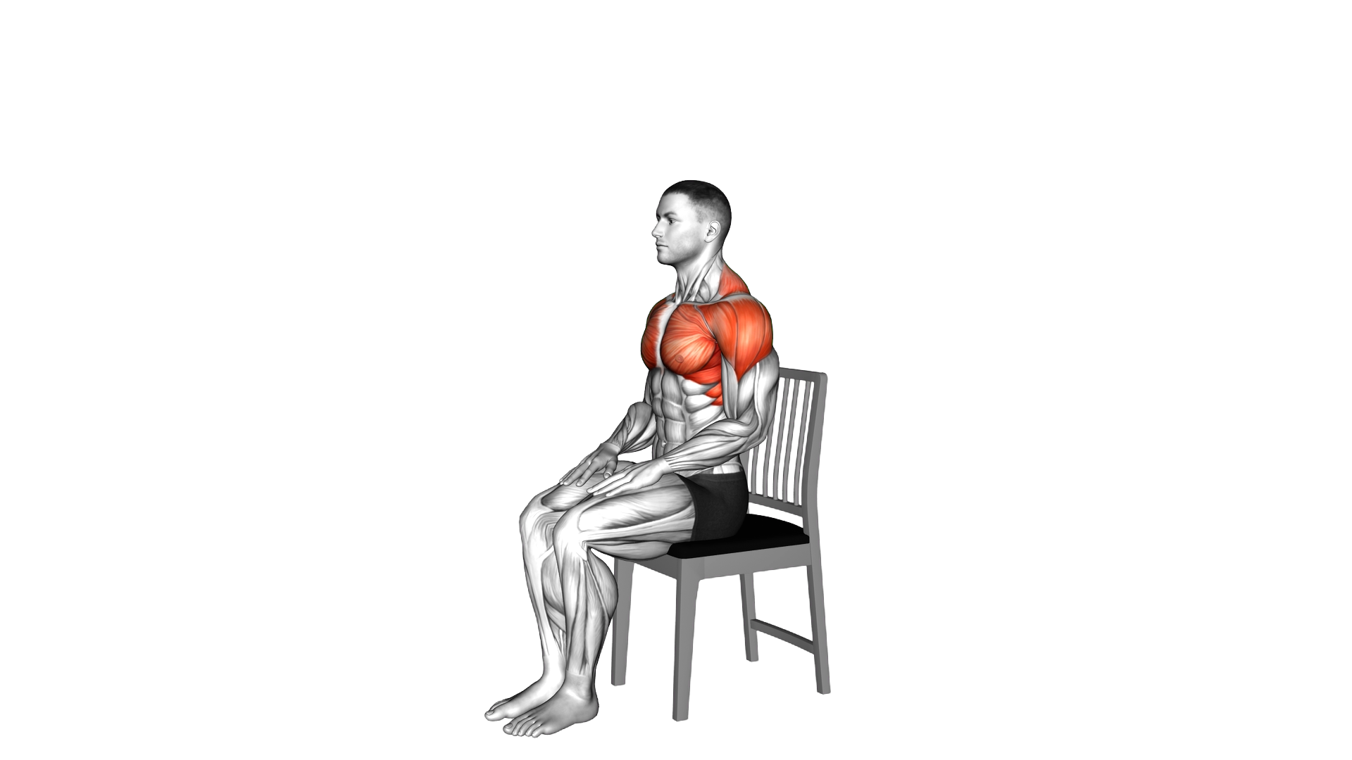 Seated Overhead Stretch on a Chair exercise demonstration