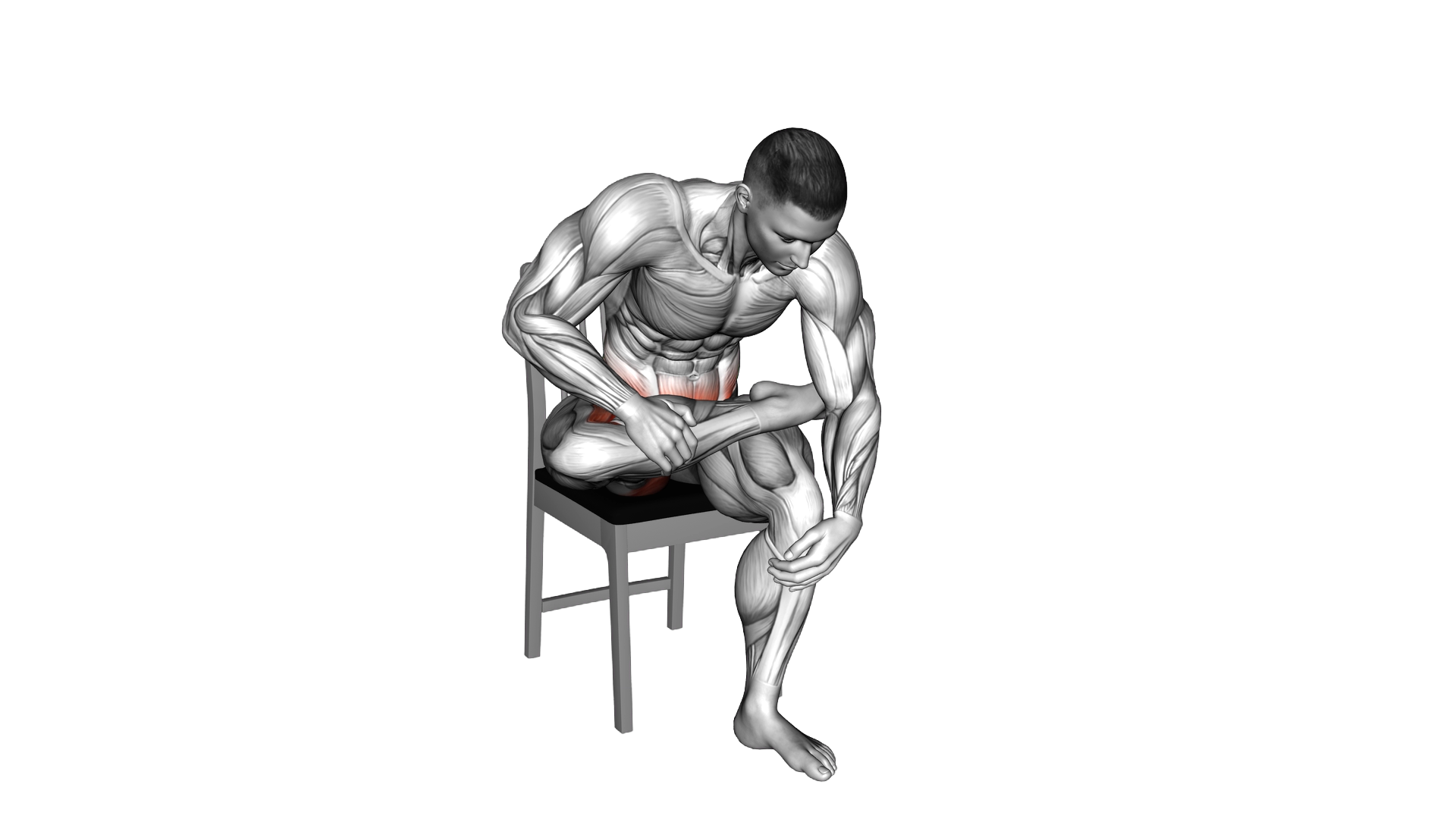 Seated Piriformis Stretch on a Chair exercise demonstration