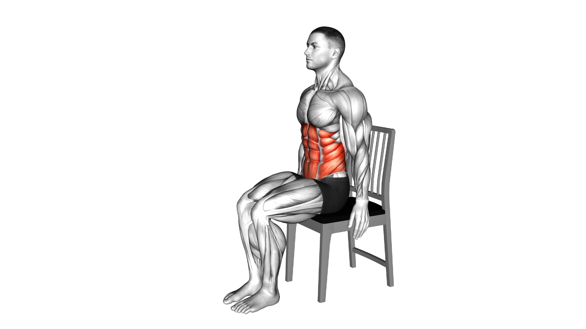 Seated Forward Bend Stretch on a Chair exercise demonstration