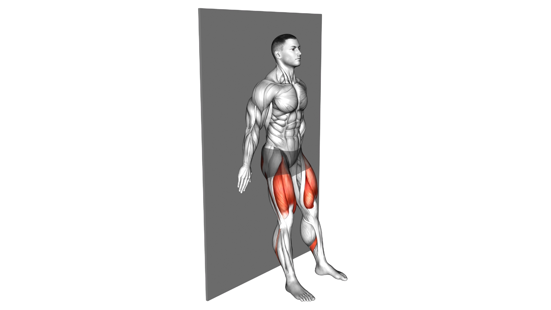 Standing Wall Slide Squat exercise thumbnail