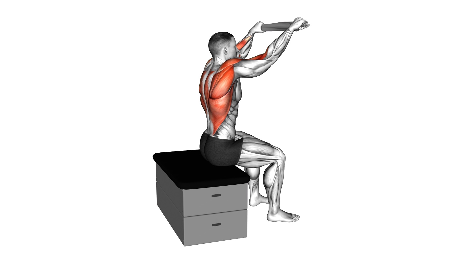 Seated Boat Row with a Towel on a Padded Stool (ma exercise demonstration