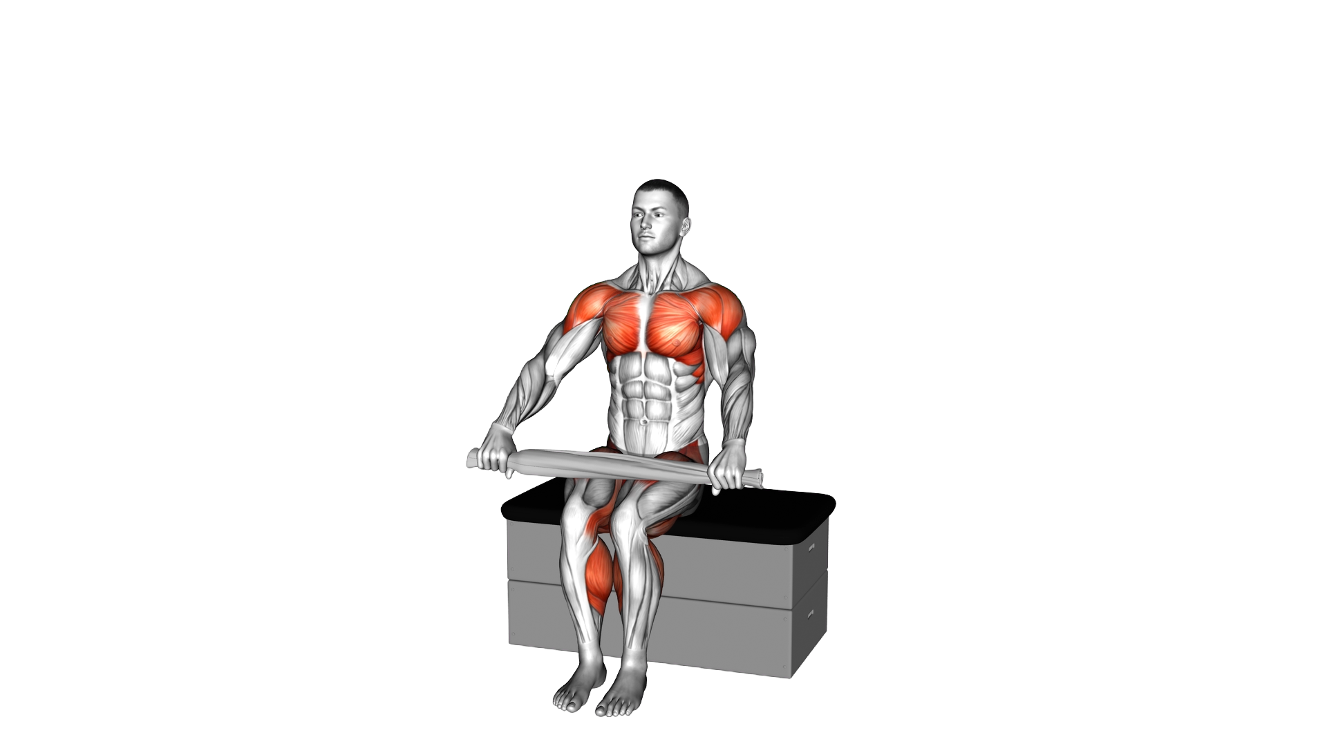 Seated Jack with a Towel on a Padded Stool exercise demonstration