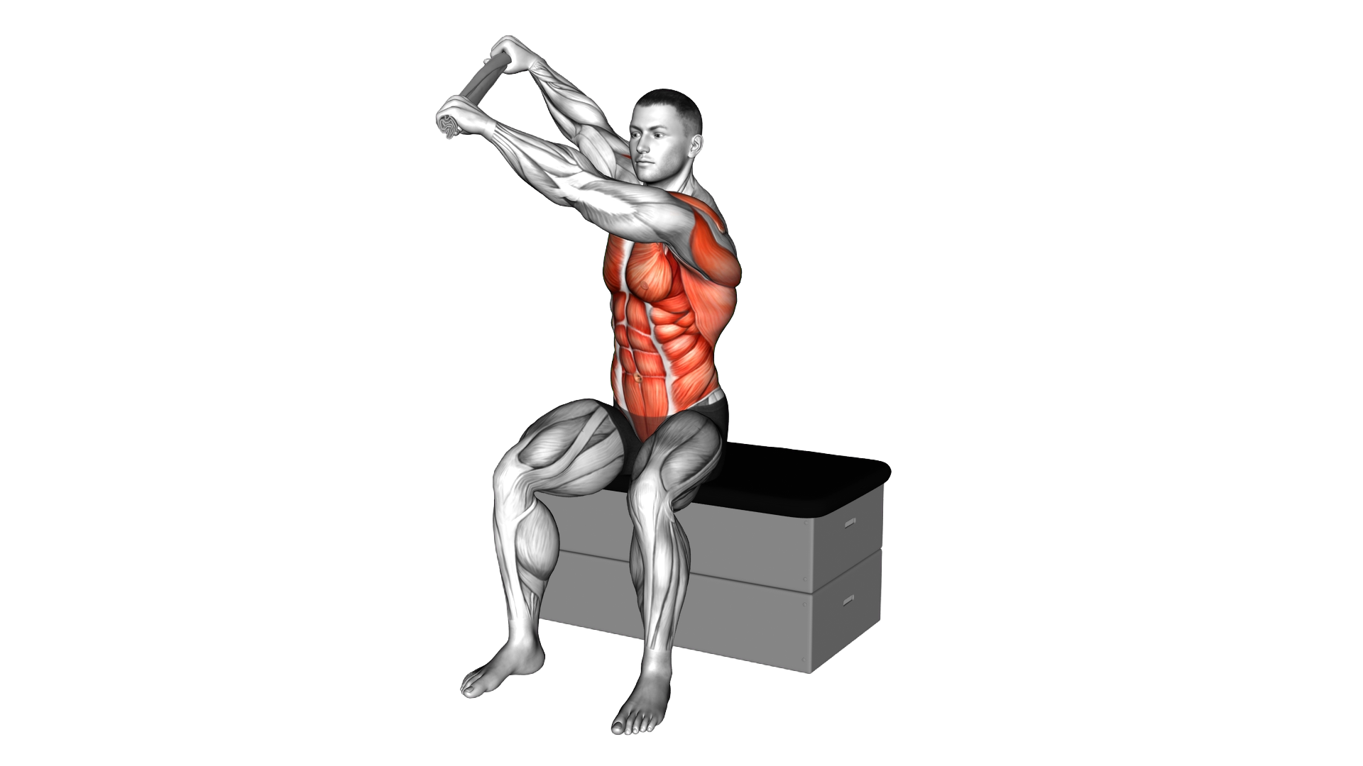 Seated Kayak Row with a Towel on a Padded Stool (m exercise demonstration