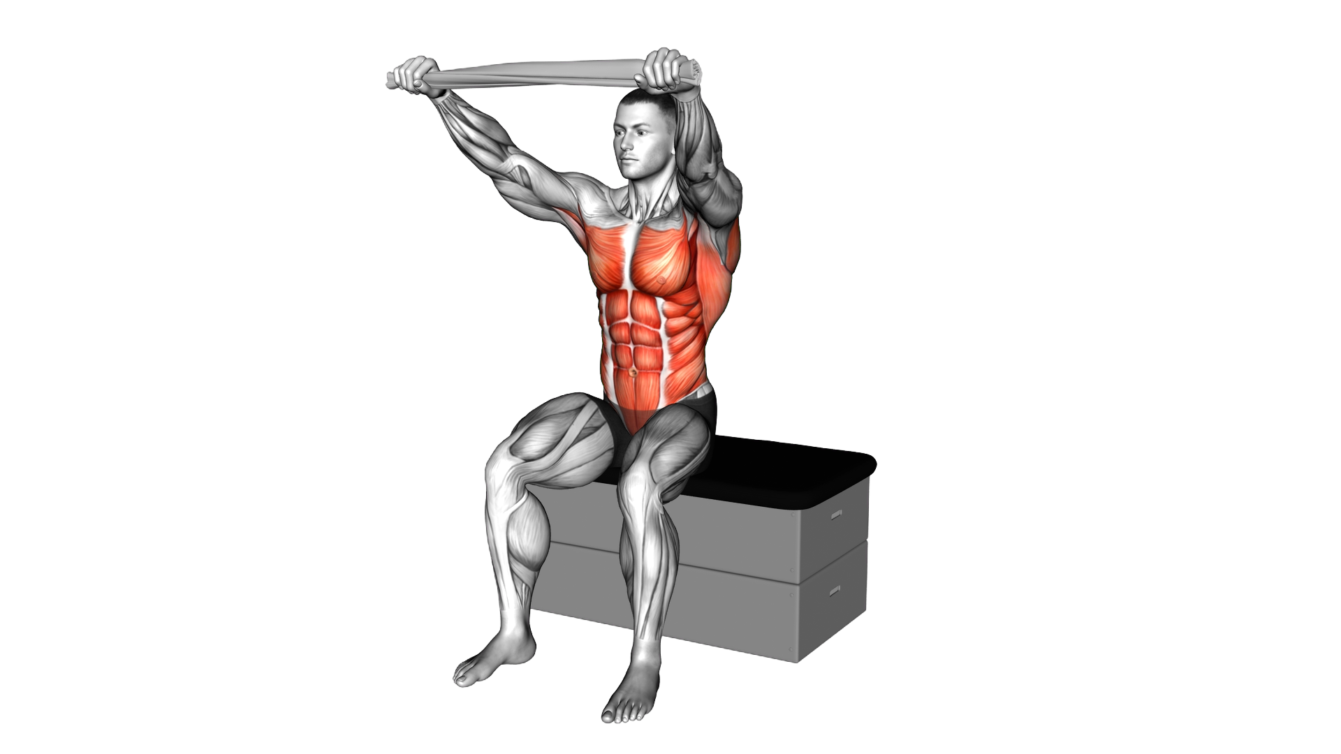 Seated Twist with a Towel on a Padded Stool exercise demonstration