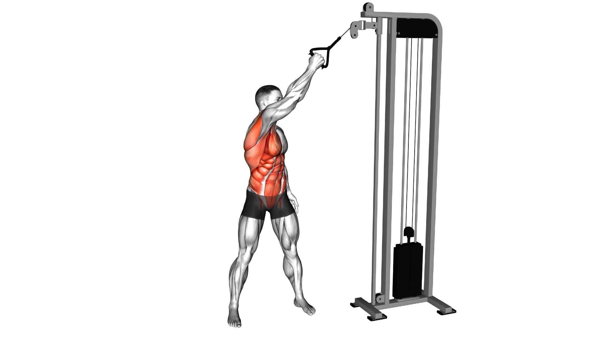 Cable Single Arm High to Low Woodchopper exercise demonstration