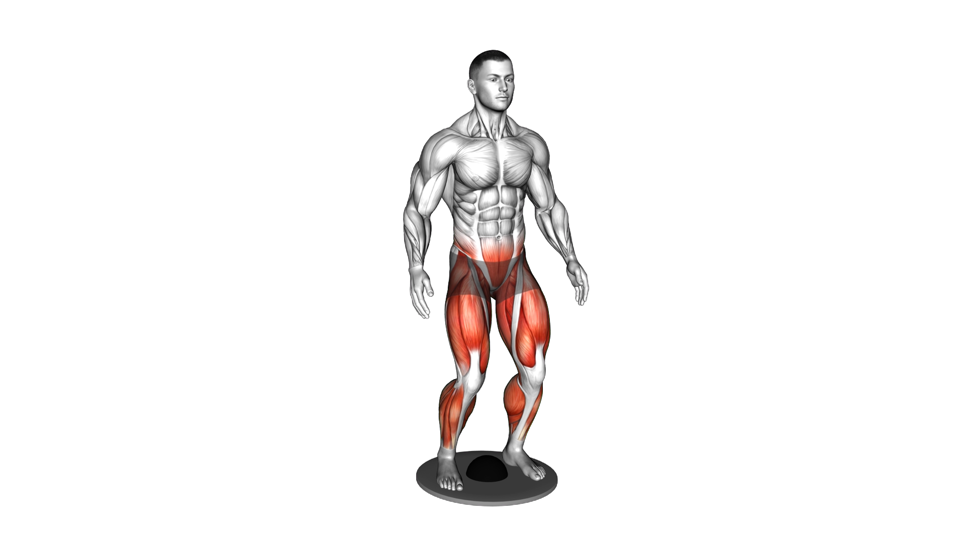 Balance Plate Standing exercise demonstration