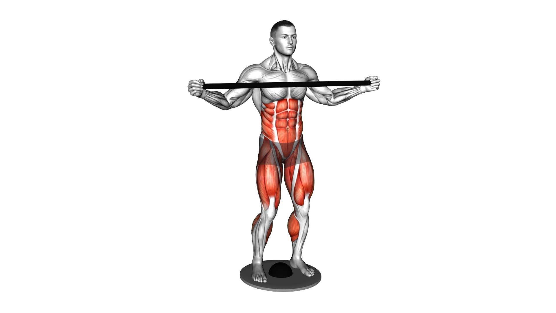 Balance Plate Standing Twist exercise demonstration