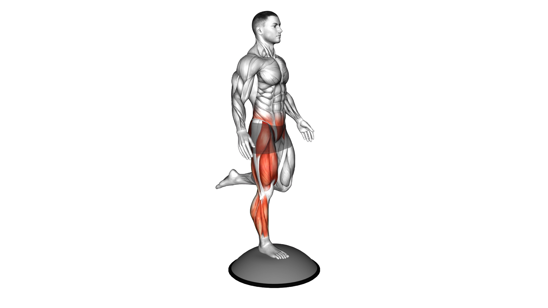 Bosu Ball Balance Counterbalanced Skater Squat (ma exercise demonstration