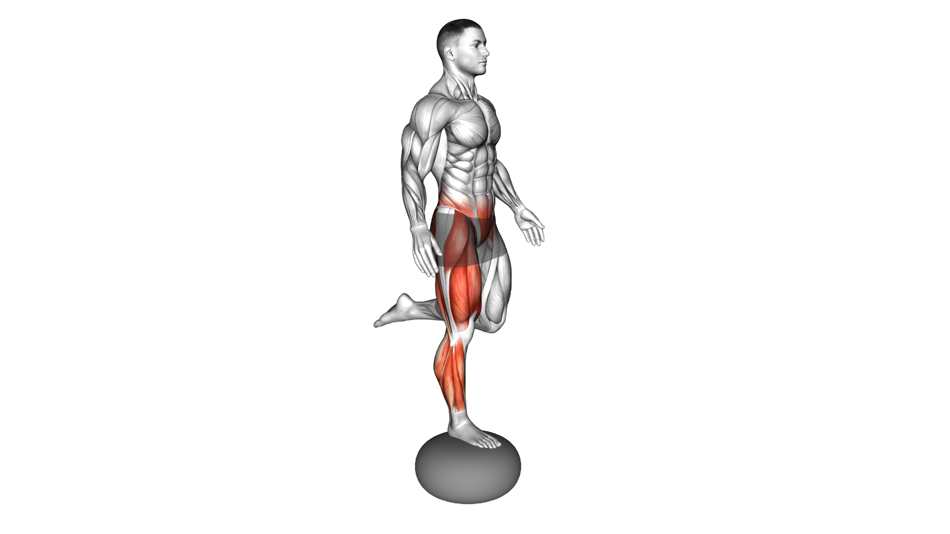 Air Pillow Balance Counterbalanced Skater Squat (m exercise demonstration