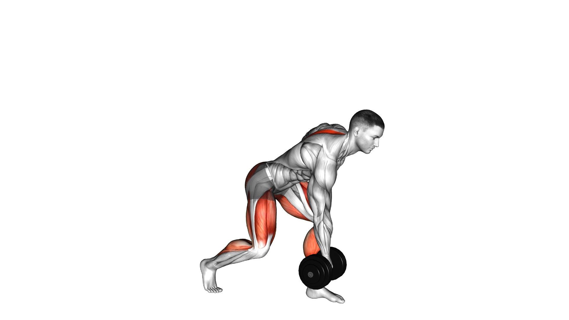Dumbbell Single Leg Deadlift exercise demonstration