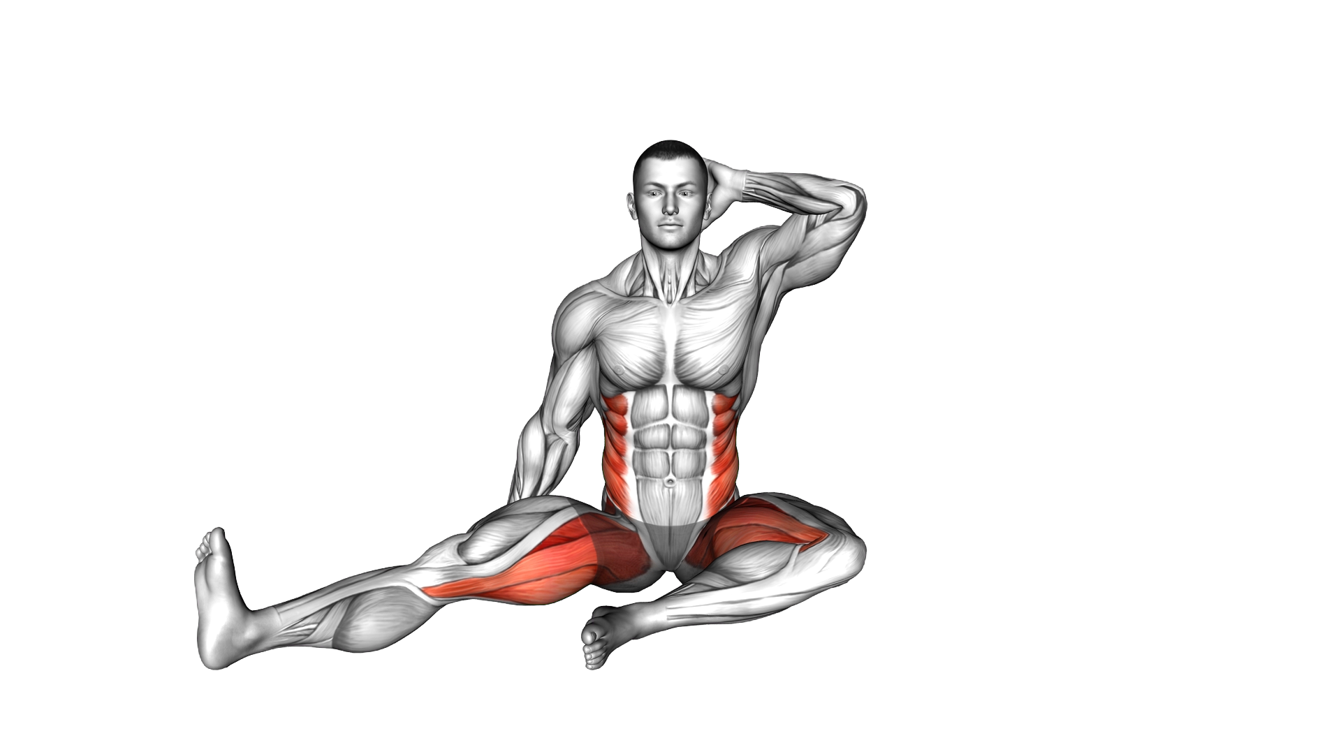 Sitting Side Bend Stretch exercise demonstration