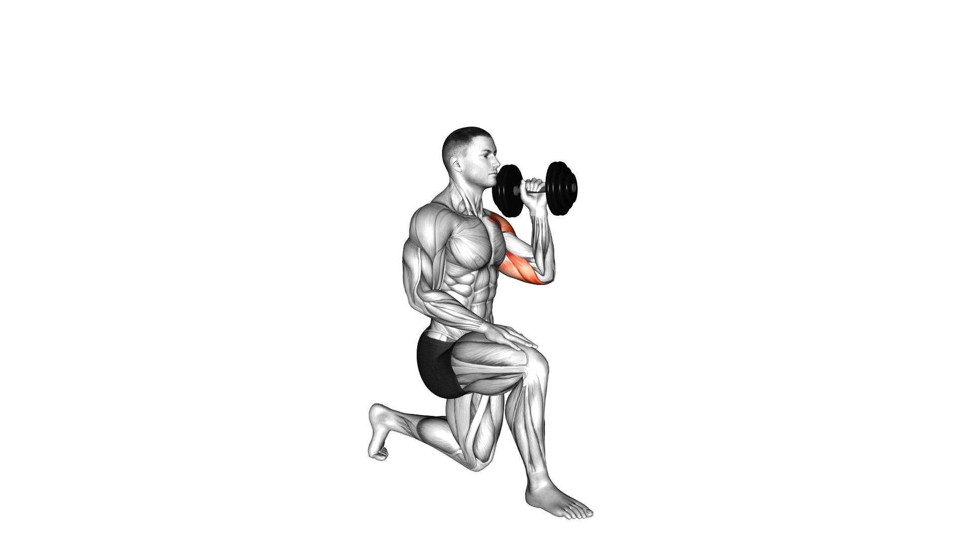 Dumbbell Kneeling Opposite Shoulder Press exercise demonstration