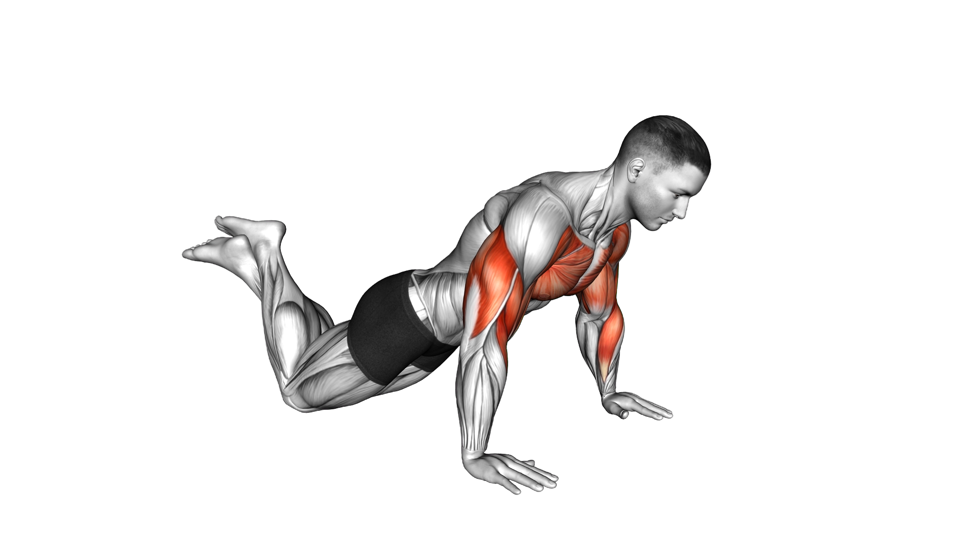 Kneeling Push Up Jump exercise demonstration