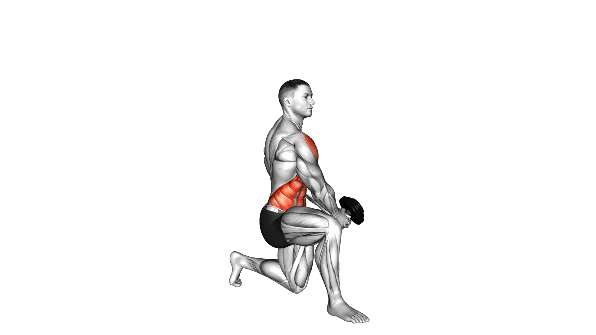 Dumbbell Kneeling Twist Down Up Raise exercise demonstration