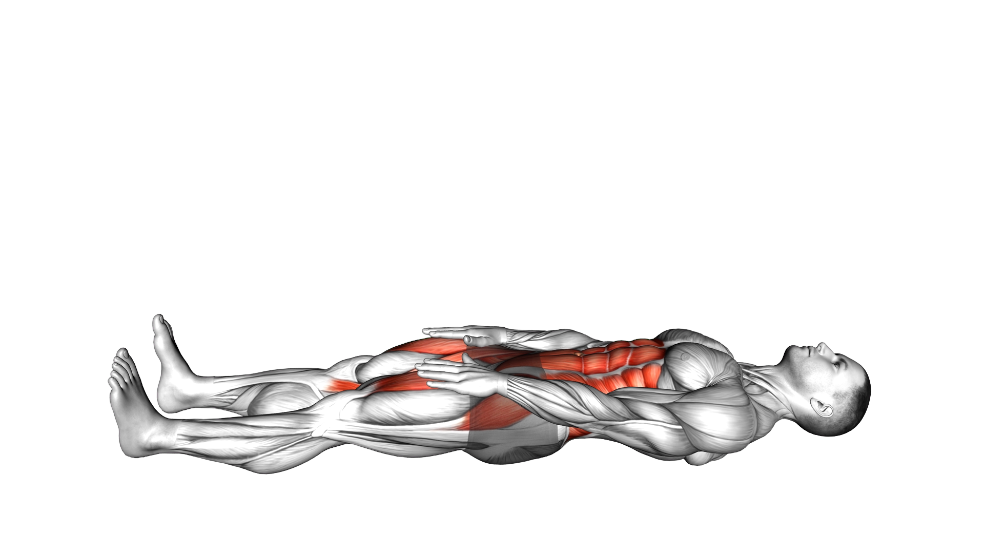 Straight Leg Opposite Sit up exercise demonstration