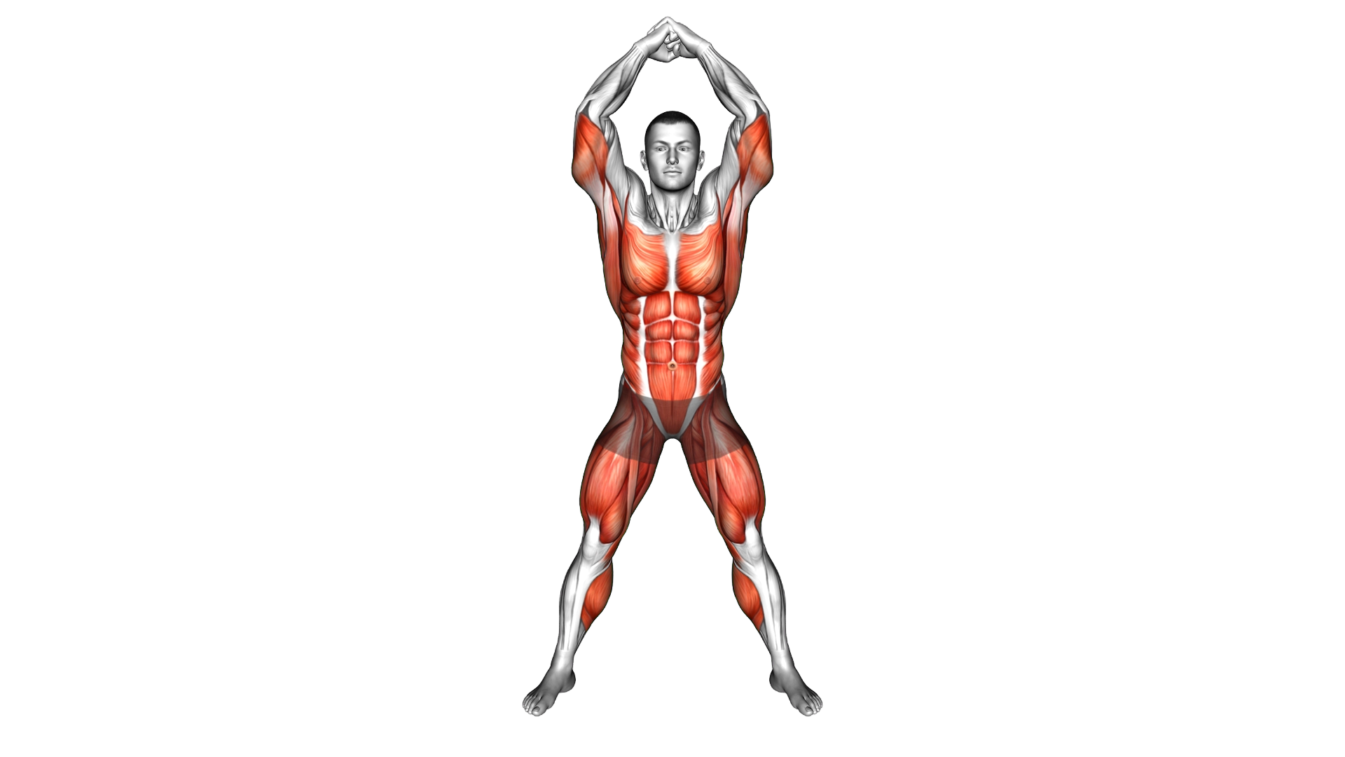 Standing Russian Twist Knee Thrust exercise demonstration