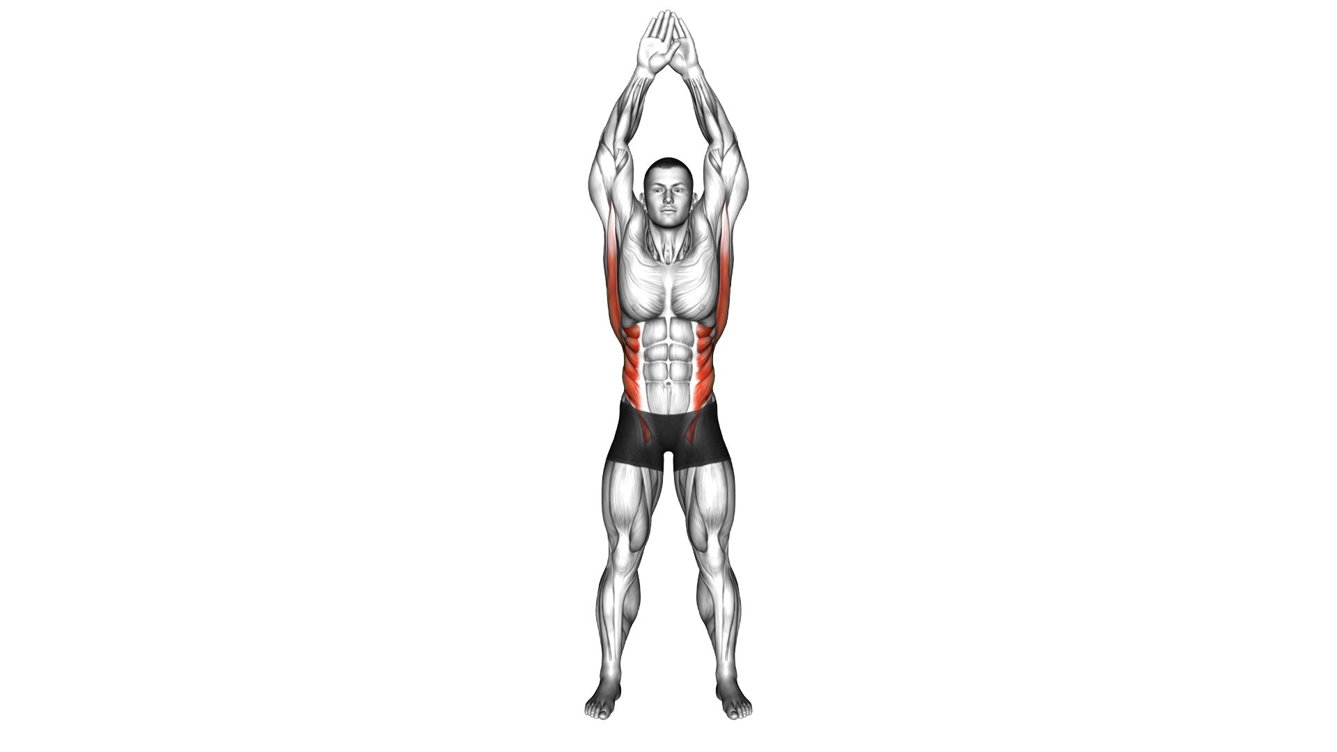 Standing Side Bend Stretch exercise demonstration