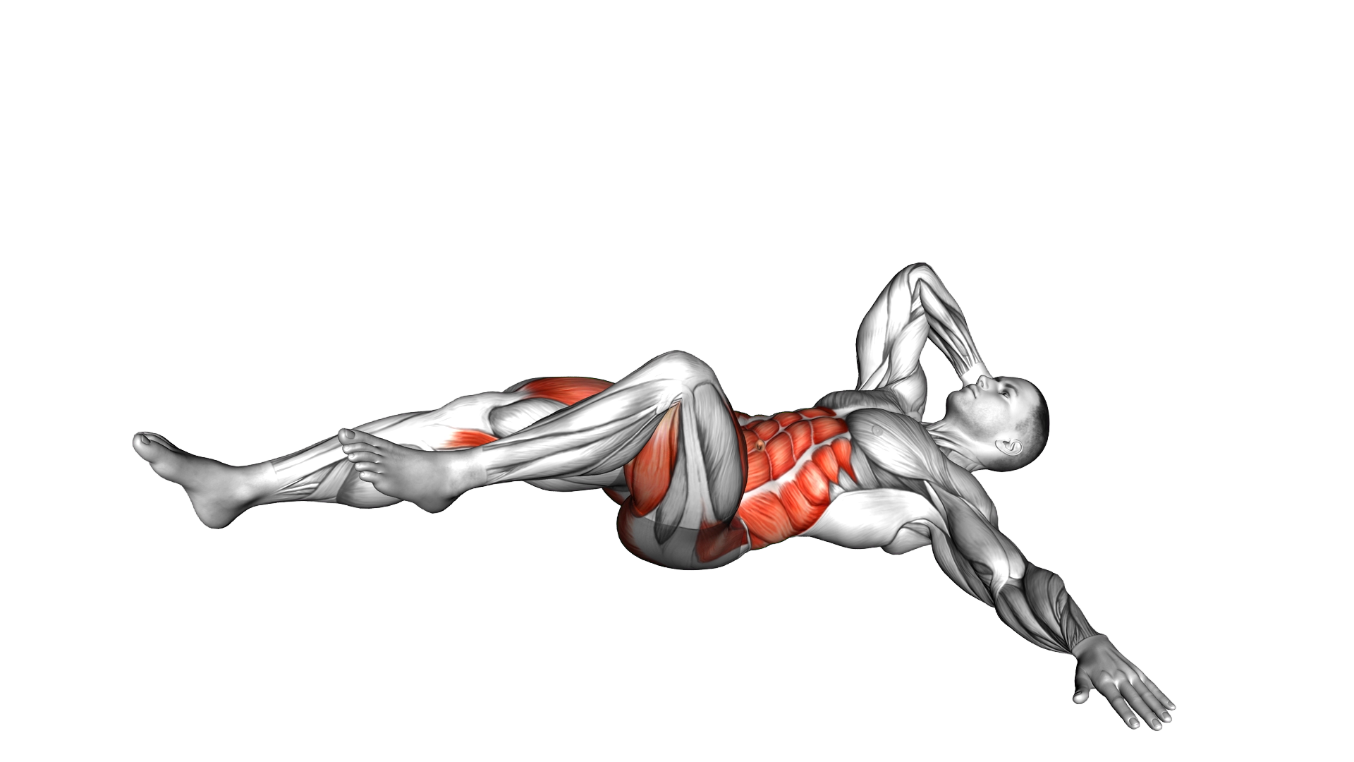 Side Lying Cycle Oblique Tuck exercise demonstration