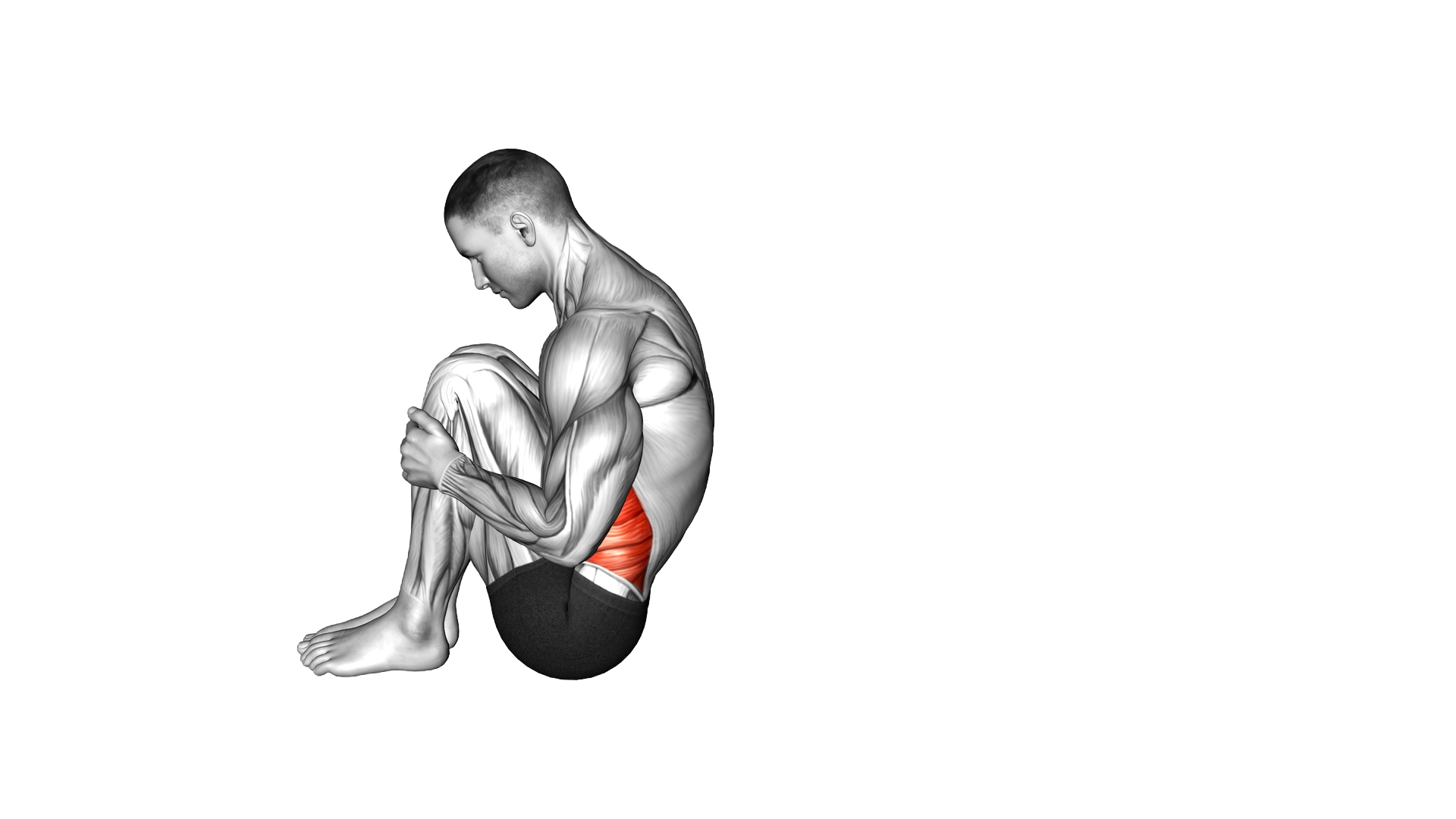 Spine Rolling exercise demonstration