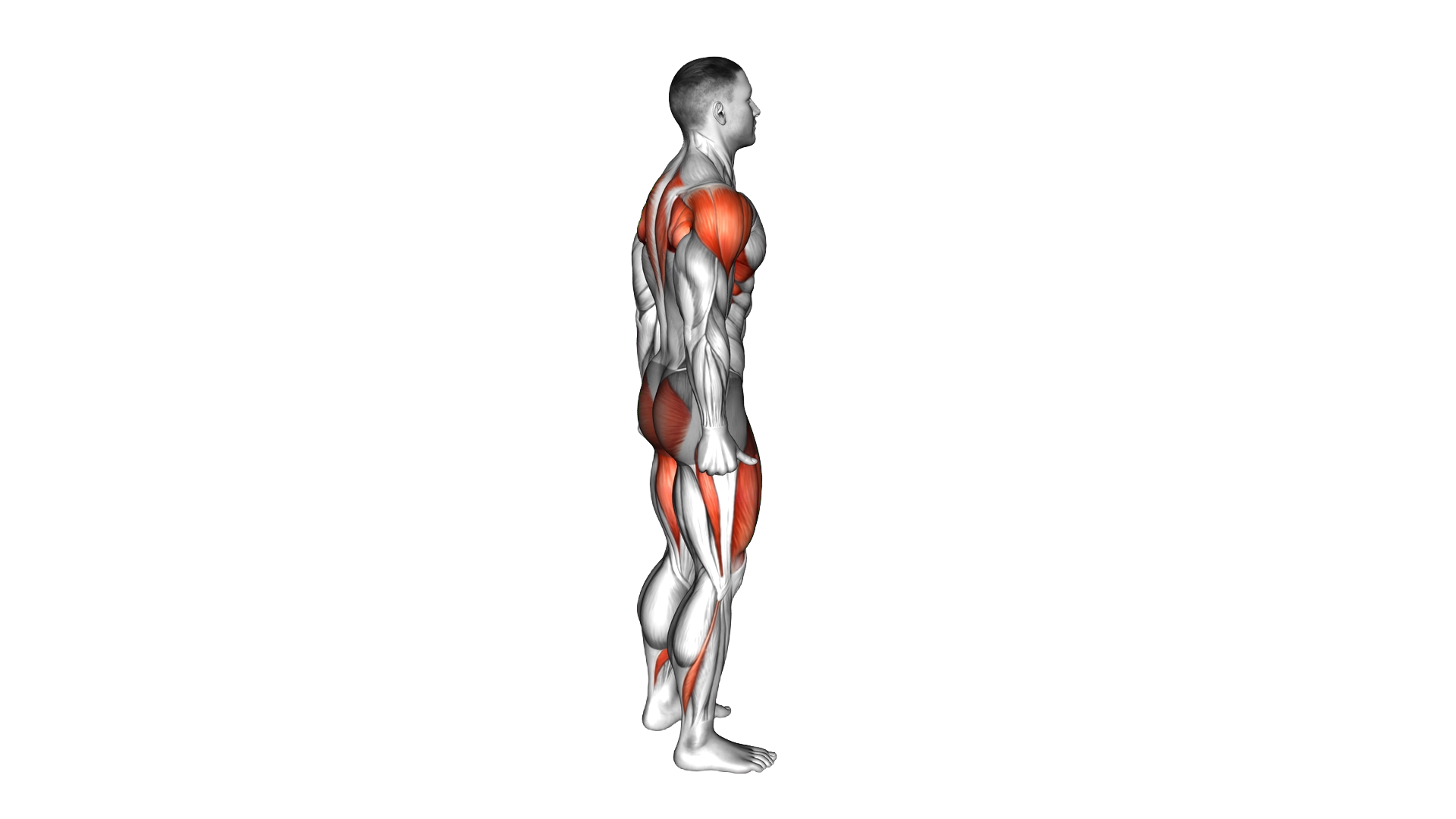 Prone I Stretch exercise demonstration